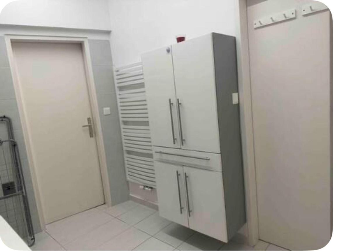 Apartment Klimatisiertes Dachgeschoss In Zentrum Wiens *
