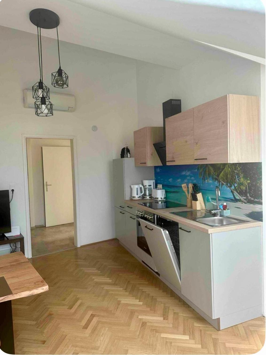 Klimatisiertes Dachgeschoss In Zentrum Wiens Apartment